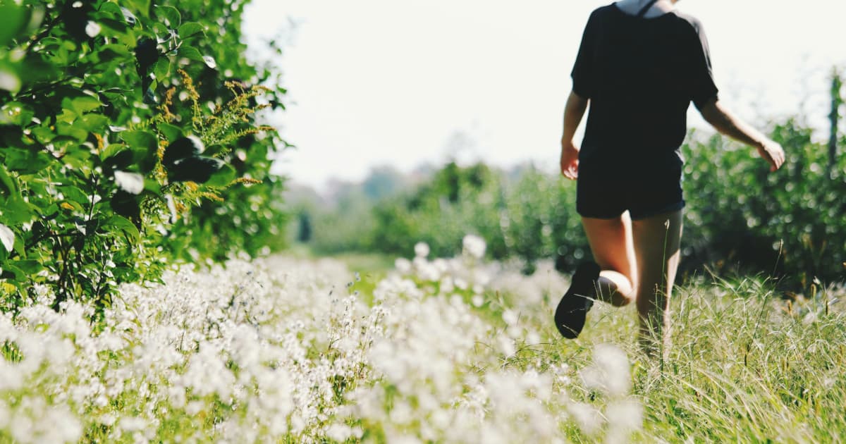 FAQ: Dr. Bradley Nelson's 'The Heart Code' and Its USA Today Bestseller Achievement