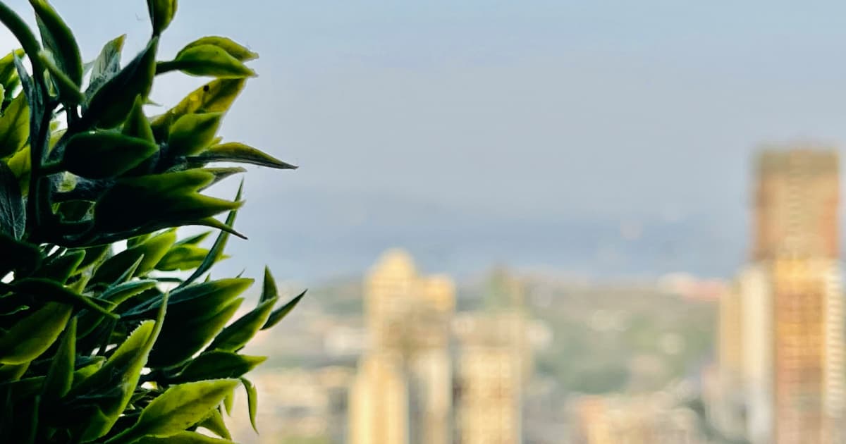 FAQ: Understanding the Marijuana Industry Tax Revolt and Section 280E