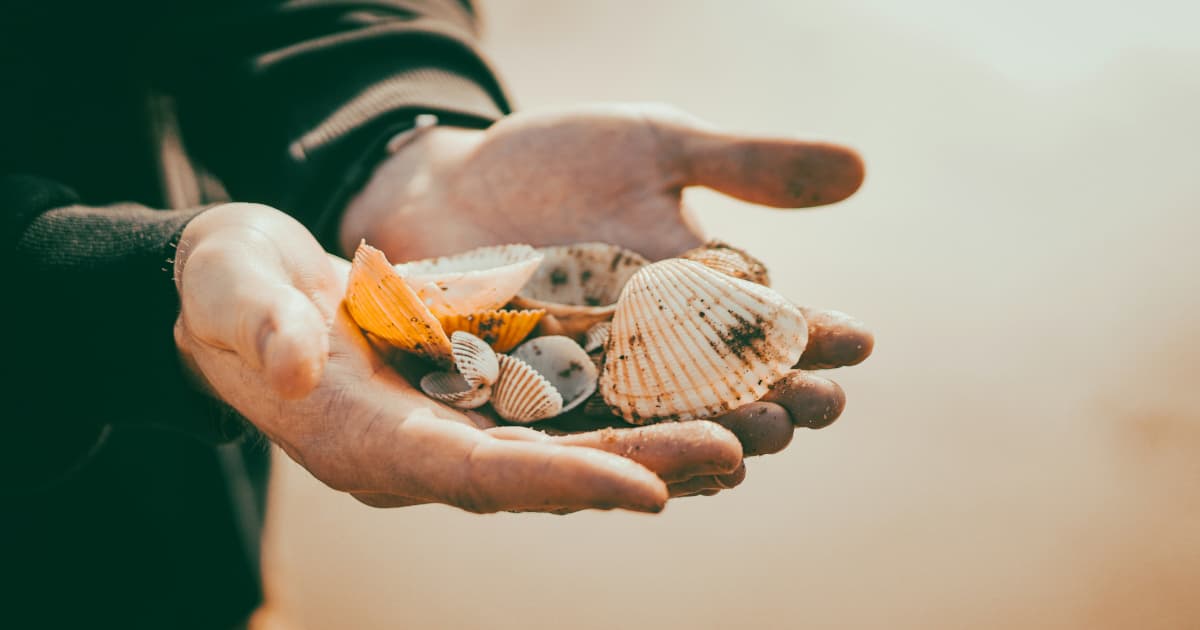 FAQ: Kevin Sumlin Scholarship for Student Athletes