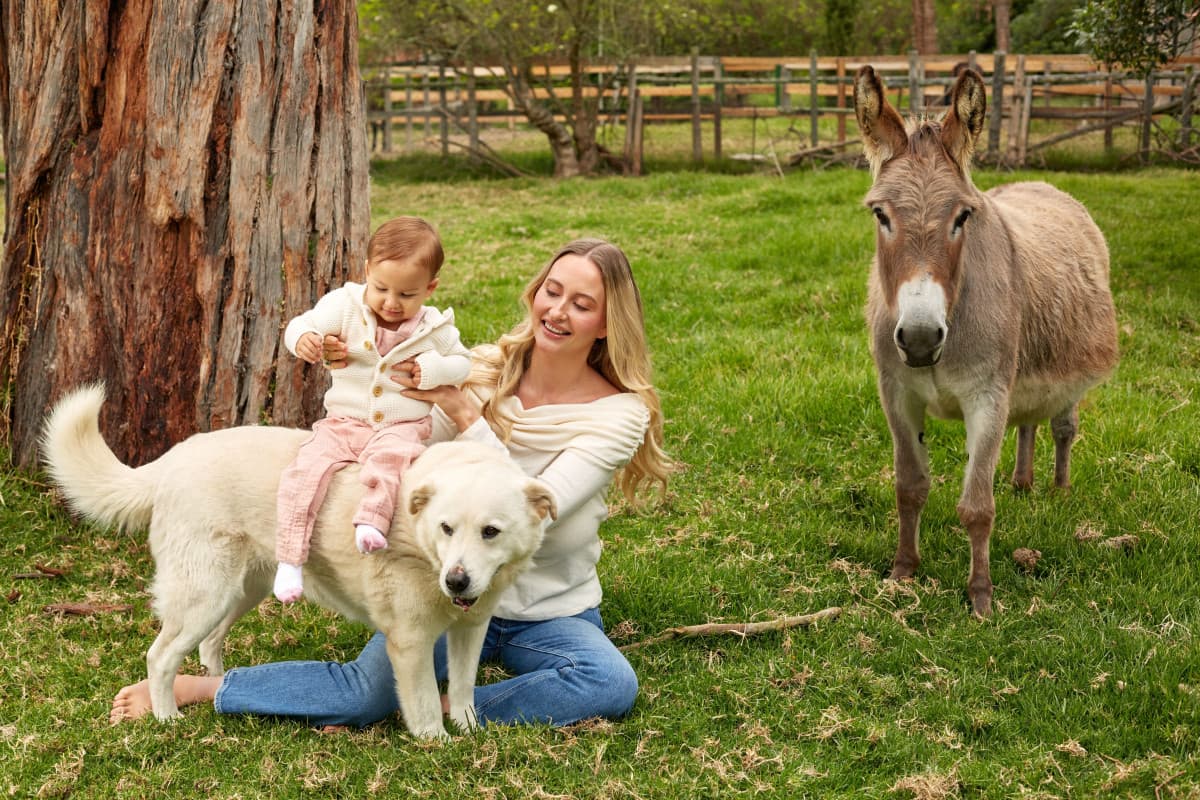 FAQ: Search Atlas Animal Sanctuary Opening in Colombia