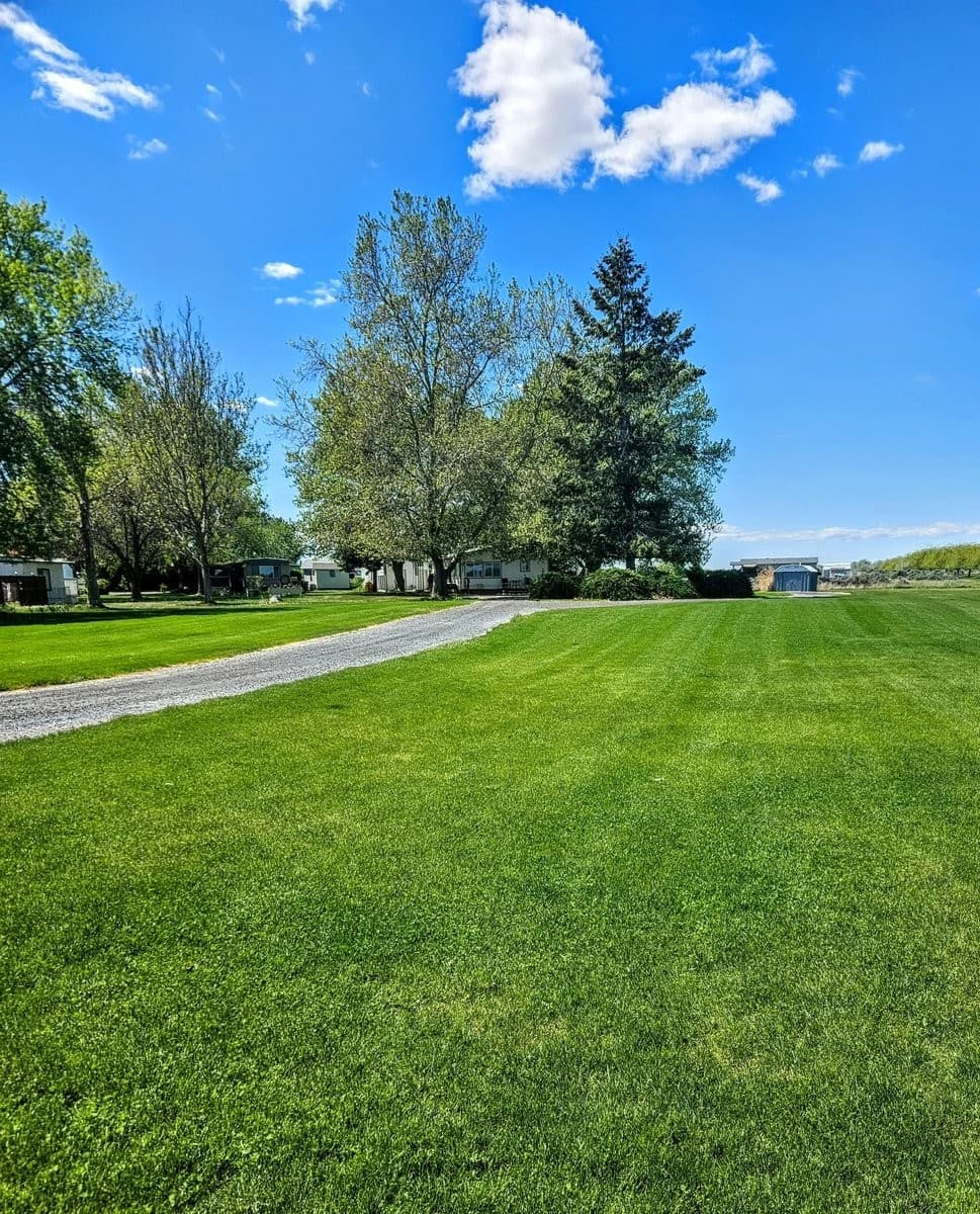 Tatum Lawn Care's New Online Quote Tool: Everything You Need to Know