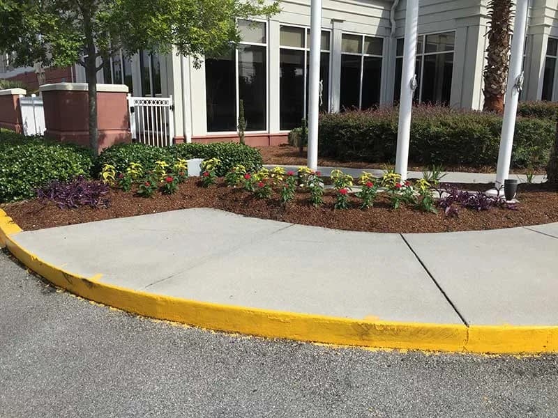 Turf Scouts: 15 Years of Residential Lawn Care in Savannah and Isle of Hope, GA