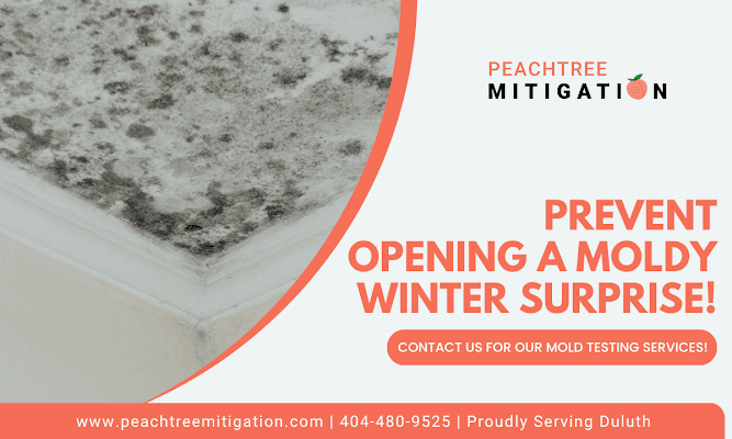 FAQ: Hidden Mold Risks and Testing in Duluth, GA