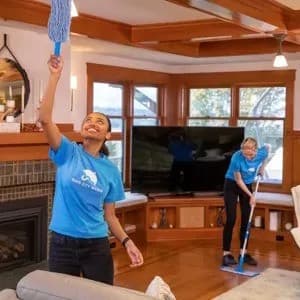 Rain City Maids Digital Expansion FAQ