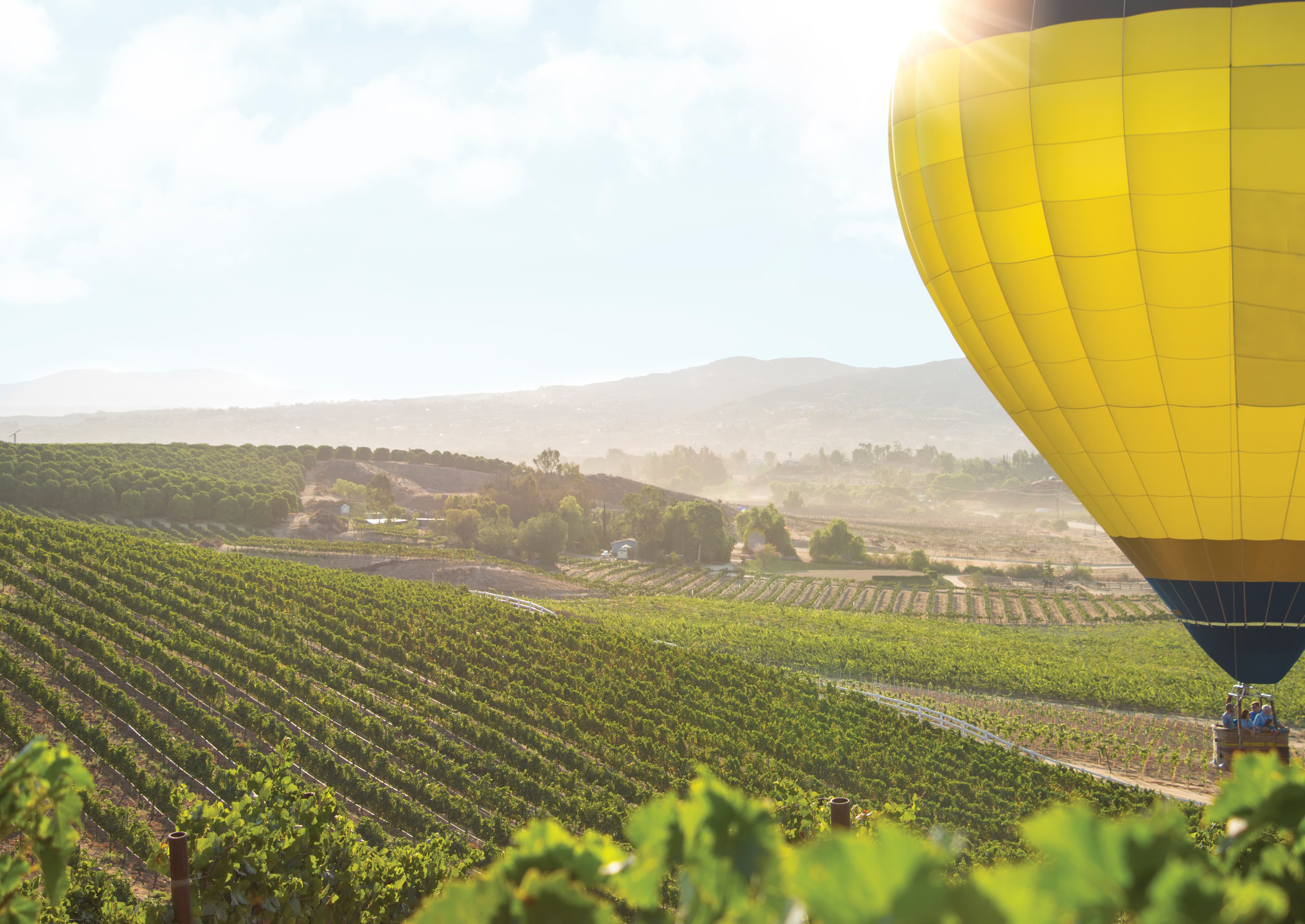 FAQ: SoCal Wine Country EDC's Workforce Development and Veteran Advantage