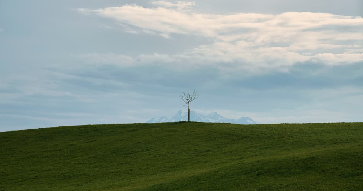 FAQ: United Nations Day Against Environmental Exploitation and Global Resource Sovereignty