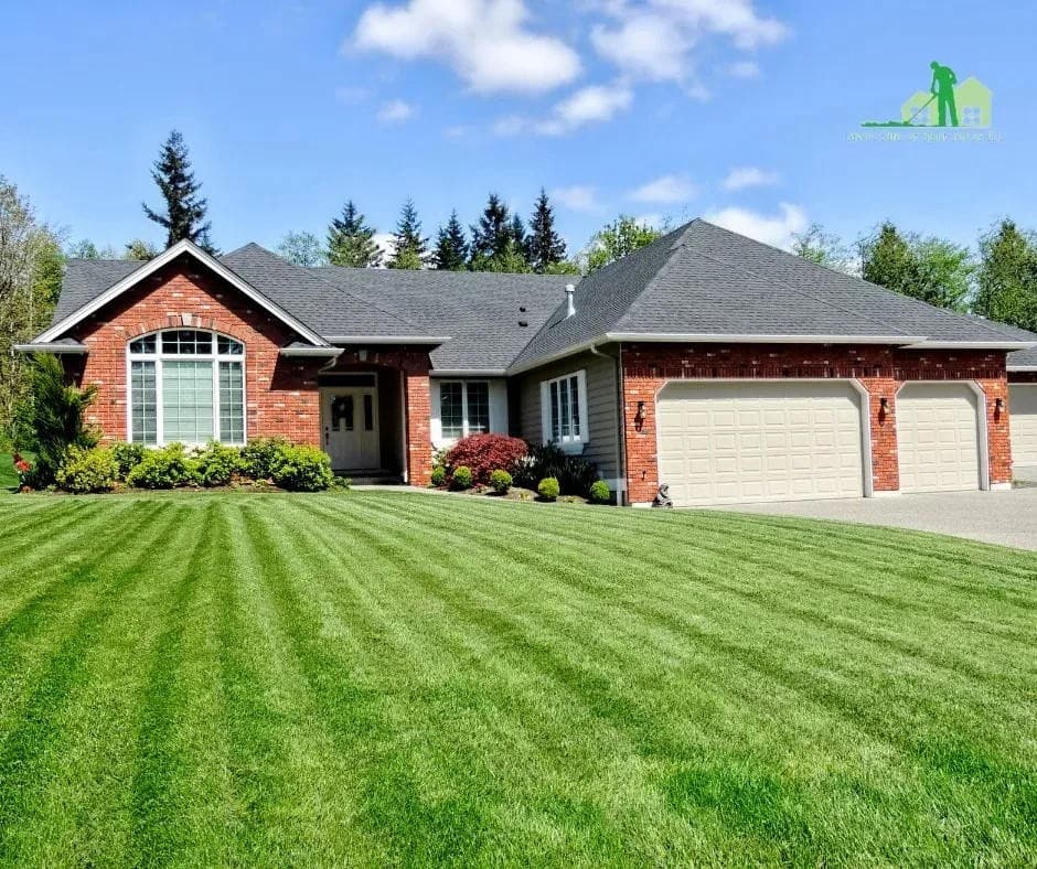 FAQ: Lawn Care of Saint Johns Expands Pet-Safe Product Options